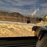 Review photo of Millard Desert Camp by Patricia I., November 12, 2025