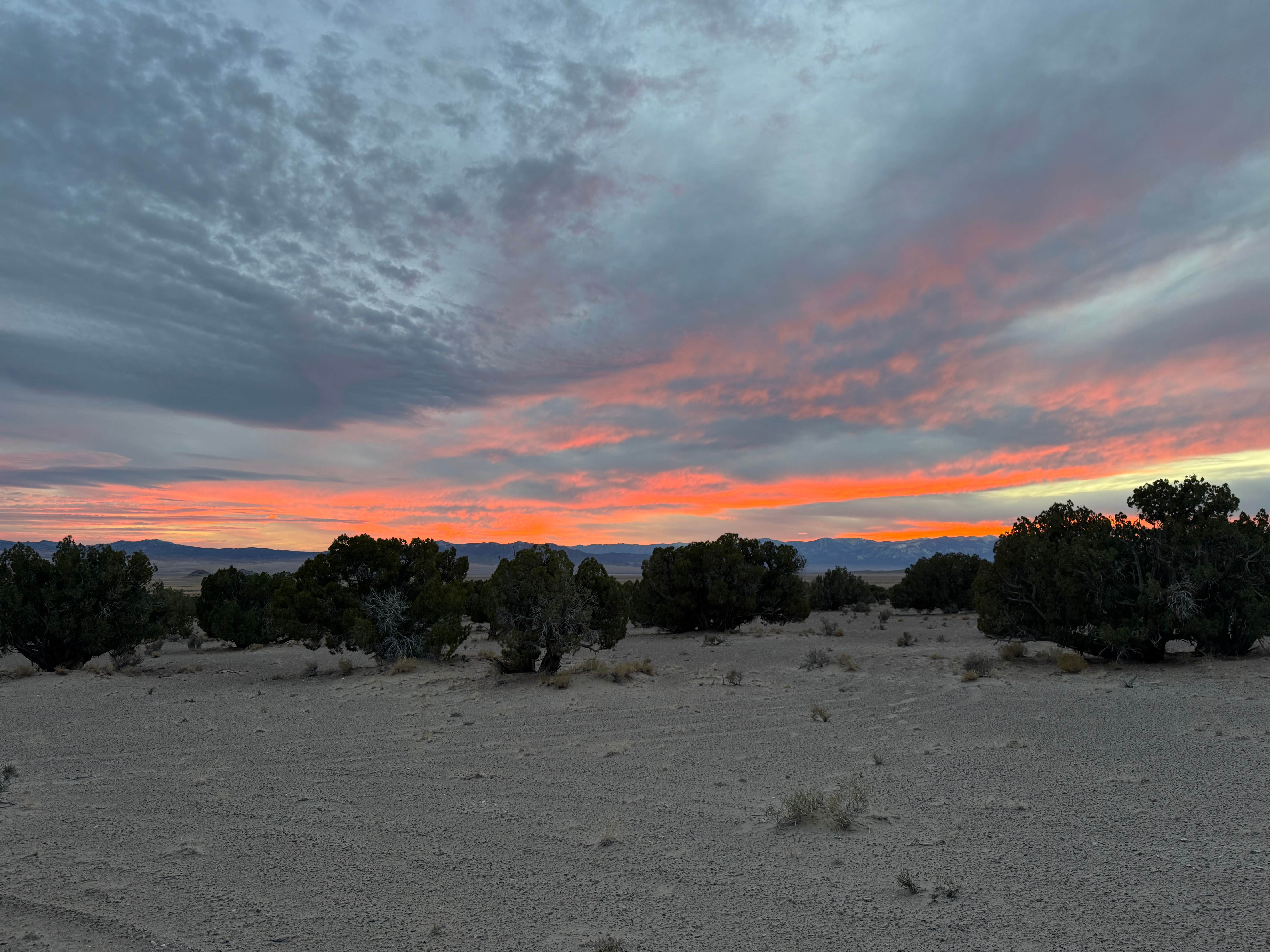 Mark H.'s photo of a dispersed camping area at Millard Desert Camp near Great Basin National Park