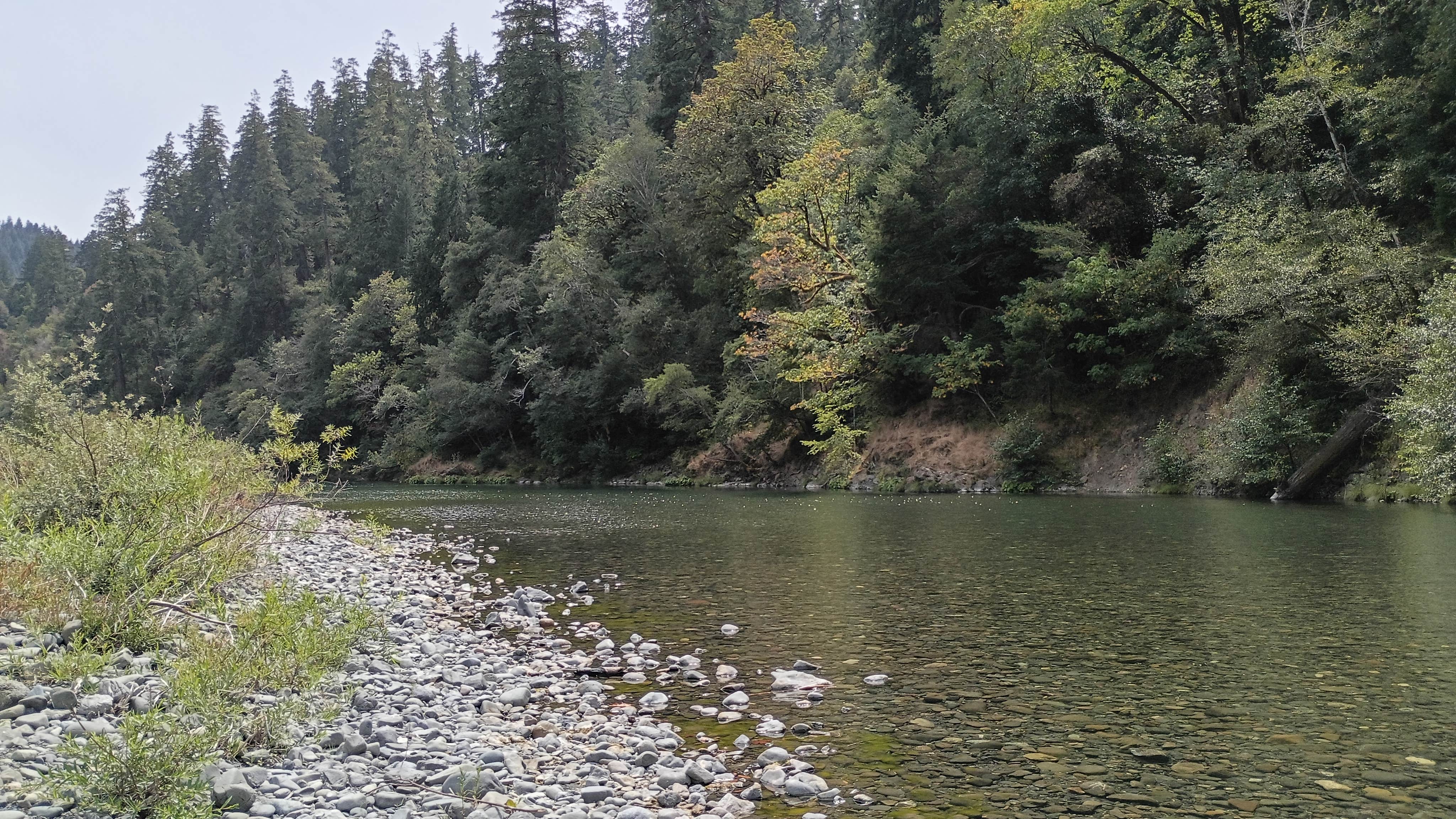 Camper-submitted photo at Miller Bar Campground near Brookings, OR