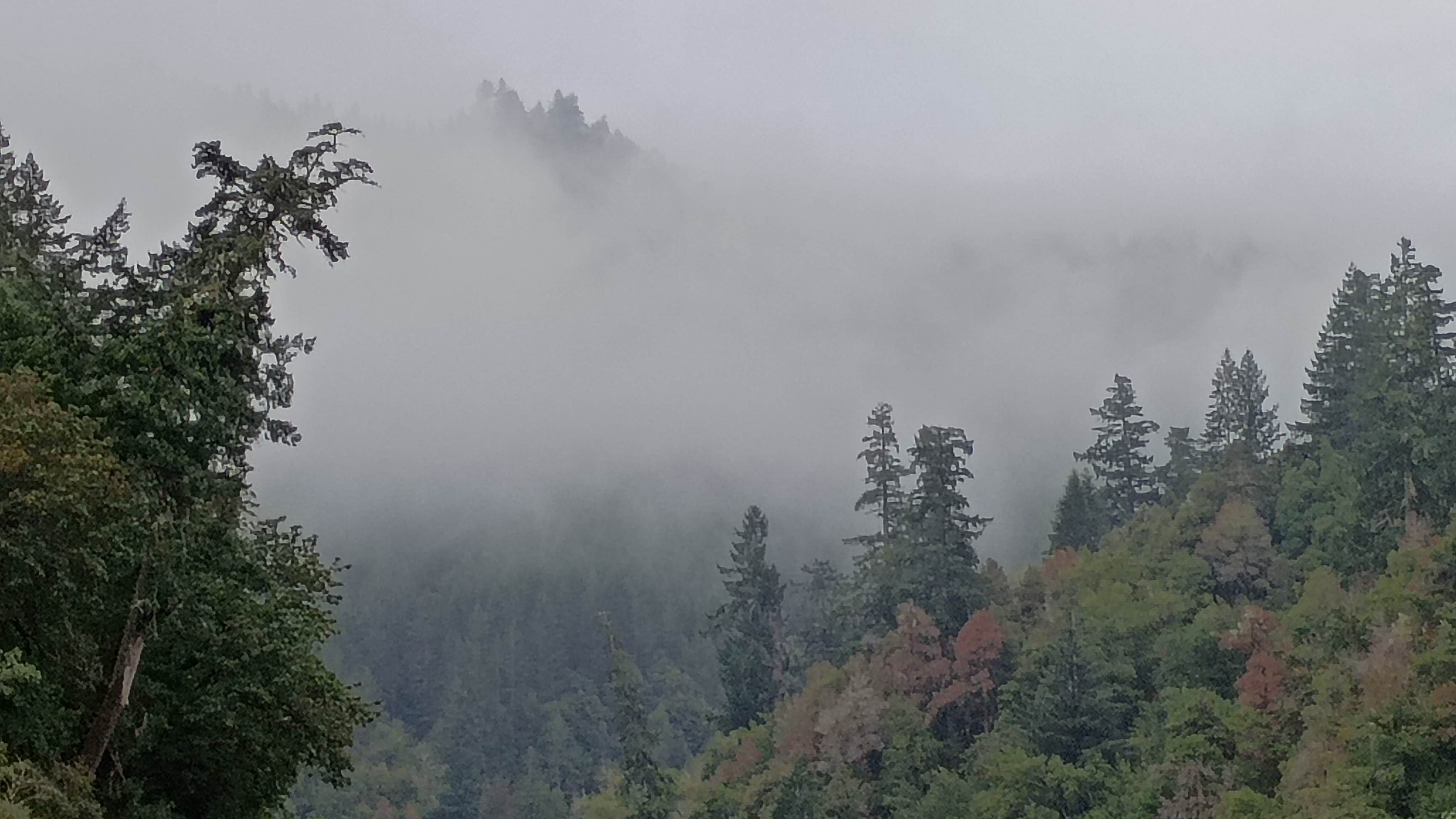 Camping near Harris Beach State Park Campground: Miller Bar Campground, Brookings, Oregon