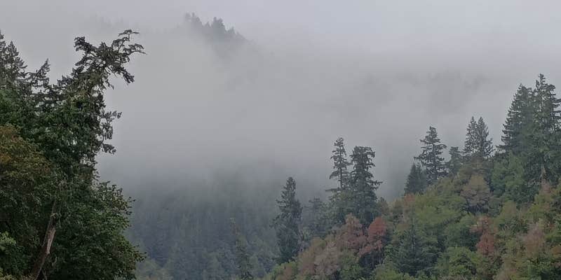 Camper submitted image from Miller Bar Campground