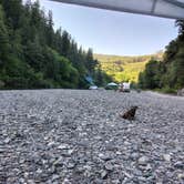 Review photo of Miller Bar Campground by Travis A., June 1, 2026