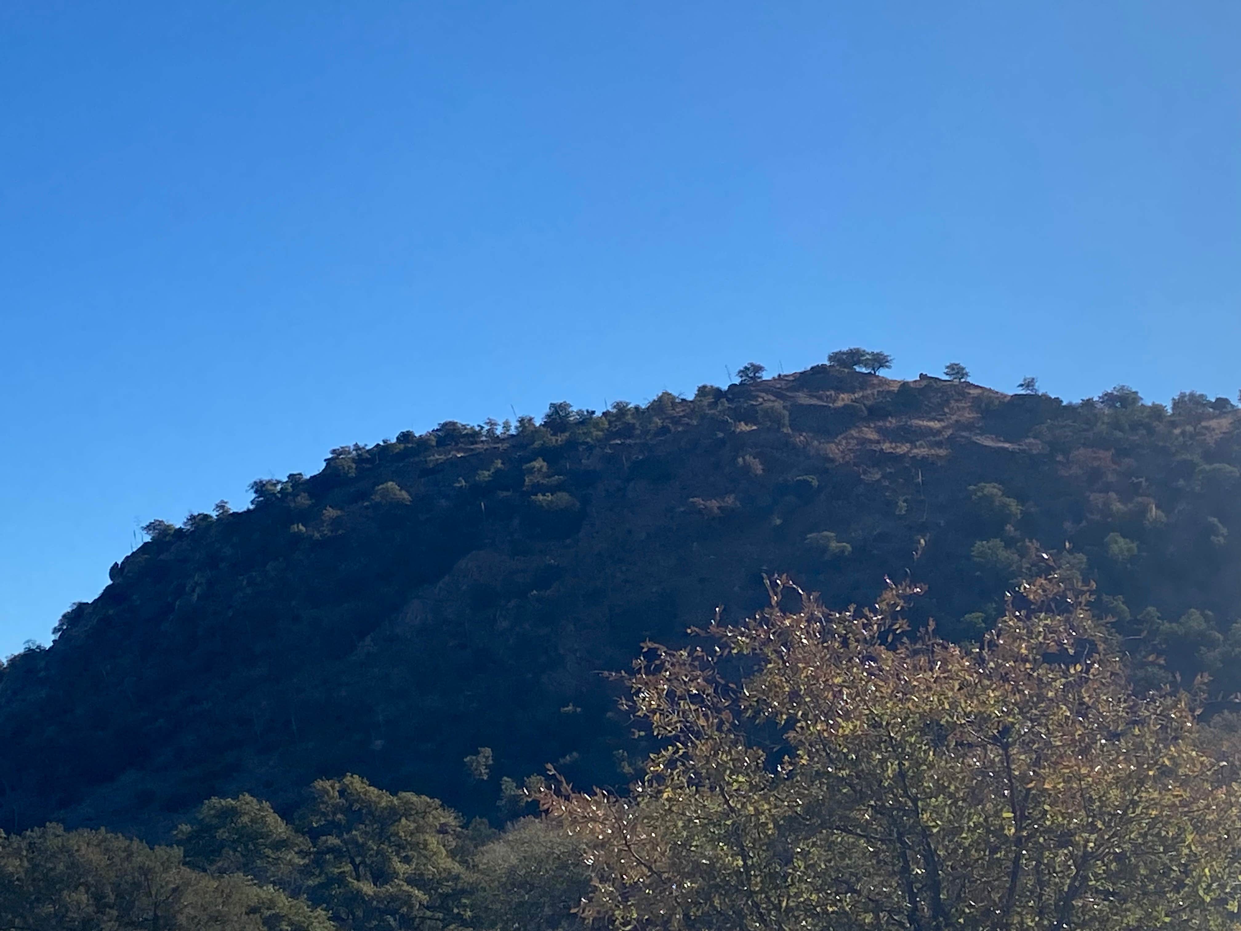 Camper-submitted photo at Miller Canyon Road near Hereford, AZ