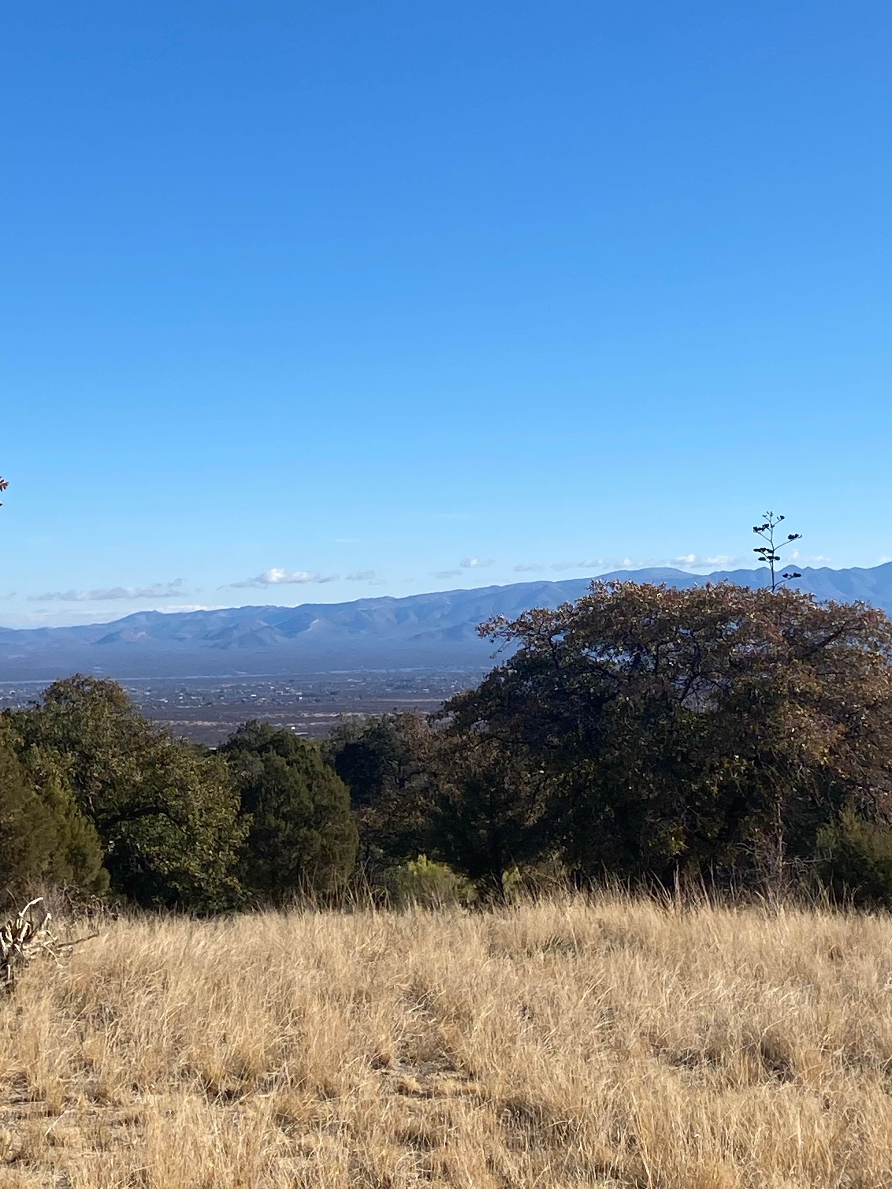 Camper-submitted photo at Miller Canyon Road near Hereford, AZ