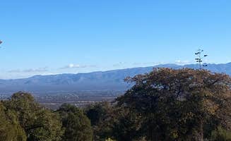 Tracy T.'s photo of a dispersed camping area at Miller Canyon Road near Fort Huachuca, AZ