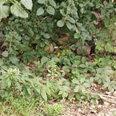 Review photo of Miller Riverview City Park by Andy M., August 6, 2026