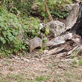 Review photo of Miller Riverview City Park by Andy M., August 6, 2026
