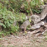 Review photo of Miller Riverview City Park by Andy M., August 6, 2026