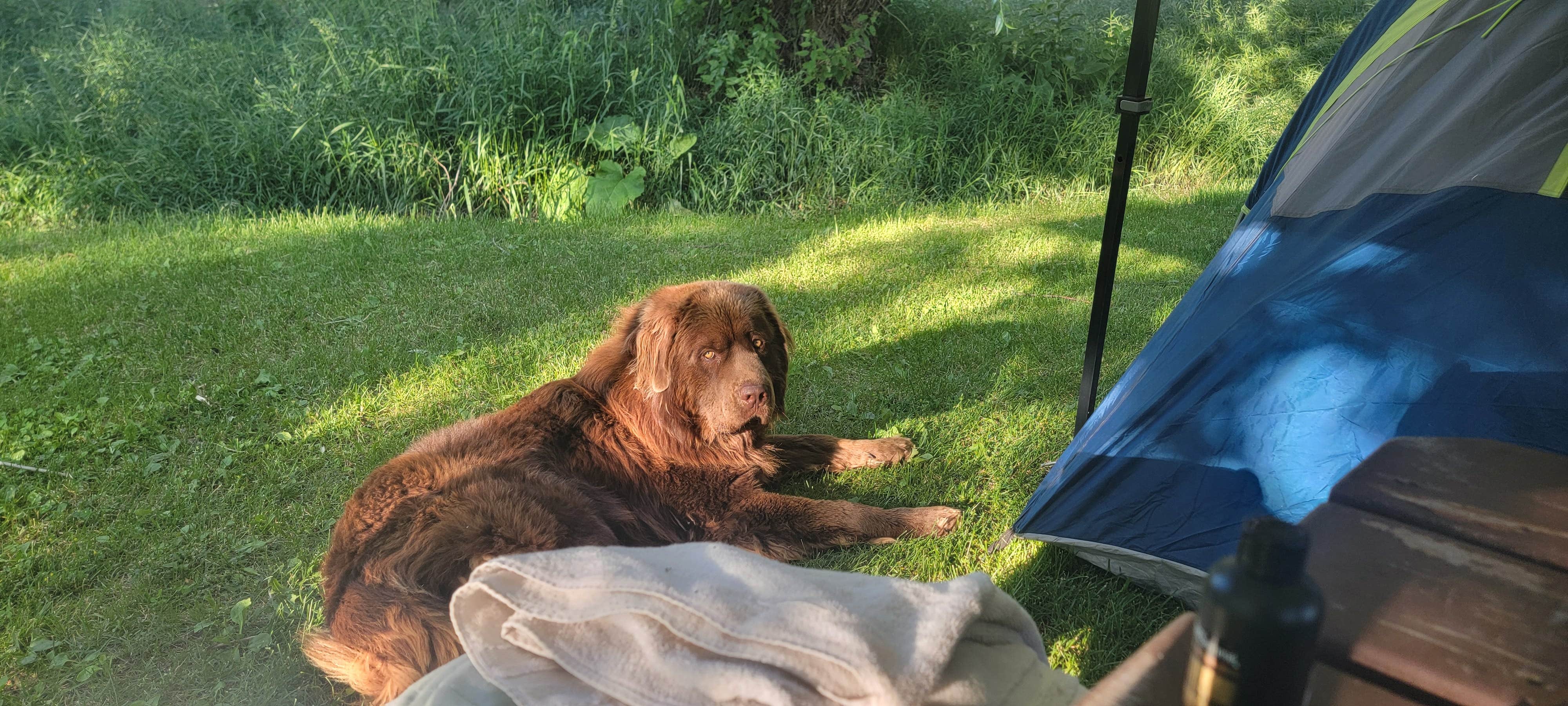 Camper-submitted photo at Winchester RV Resort & Campground near Republic, WA