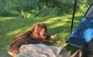 Jodi S.'s photo of camping with pets at Winchester RV Resort & Campground near Oroville, WA