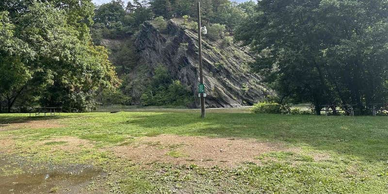 Camper submitted image from Millesons Walnut Grove Campgound