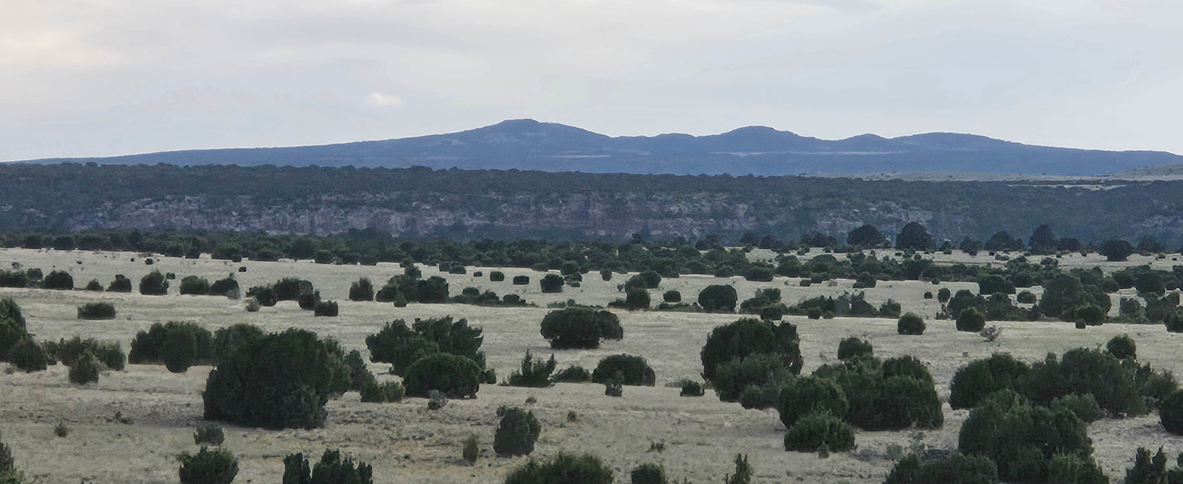 Camper-submitted photo at Mills Canyon Dispersed near Mills, NM