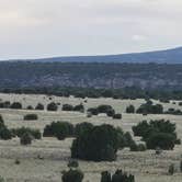 Review photo of Mills Canyon Dispersed by MrCopperhead1974 , May 18, 2026