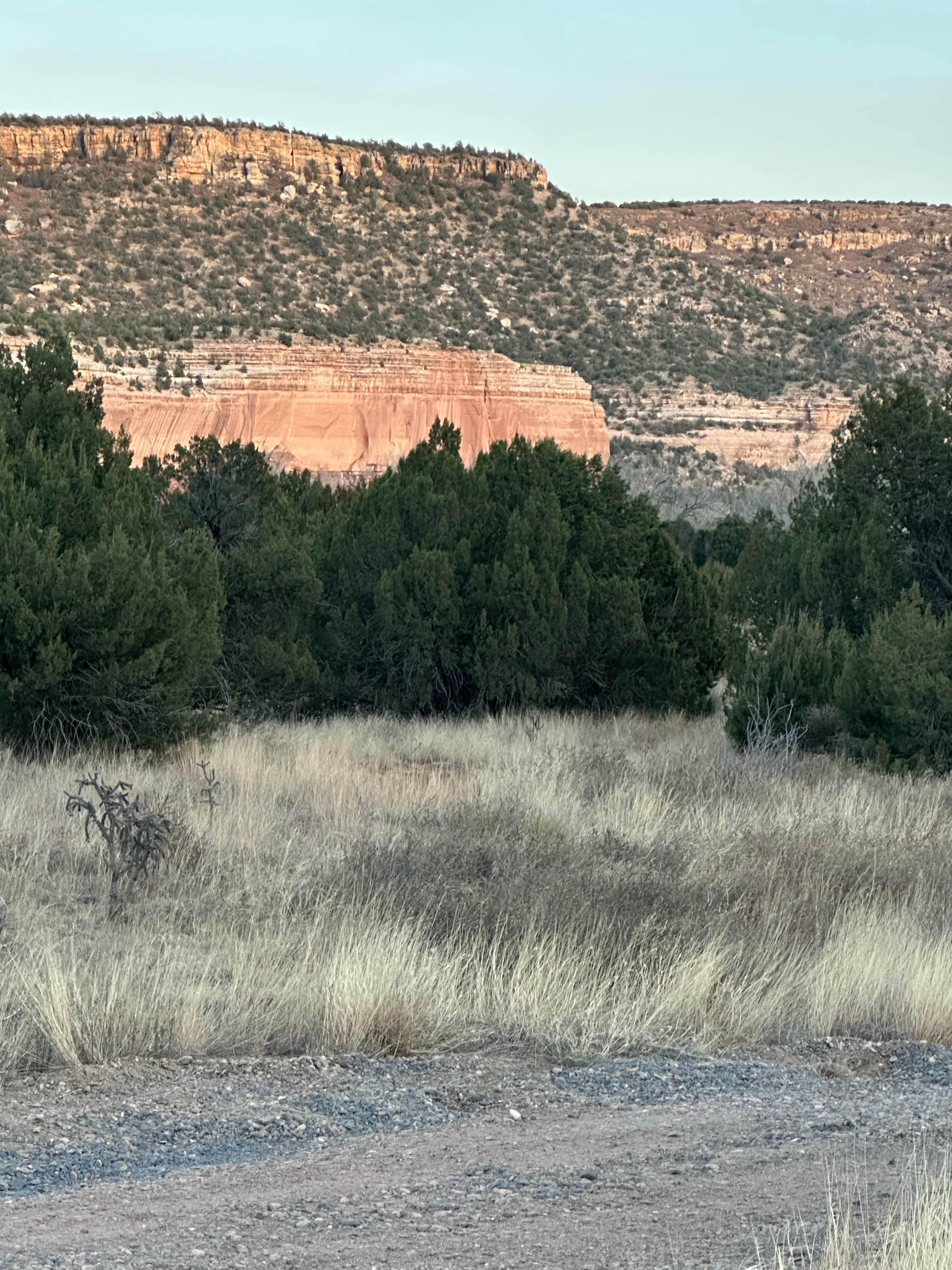 Camping near Mills Canyon Campground: Mills Canyon Dispersed, Mills, New Mexico