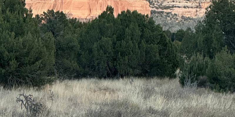 Camper submitted image from Mills Canyon Dispersed