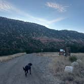 Review photo of Mills Canyon Dispersed by Teresa A., February 25, 2026