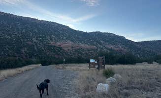 Teresa A.'s photo of camping with pets at Mills Canyon Dispersed near Wagon Mound, NM