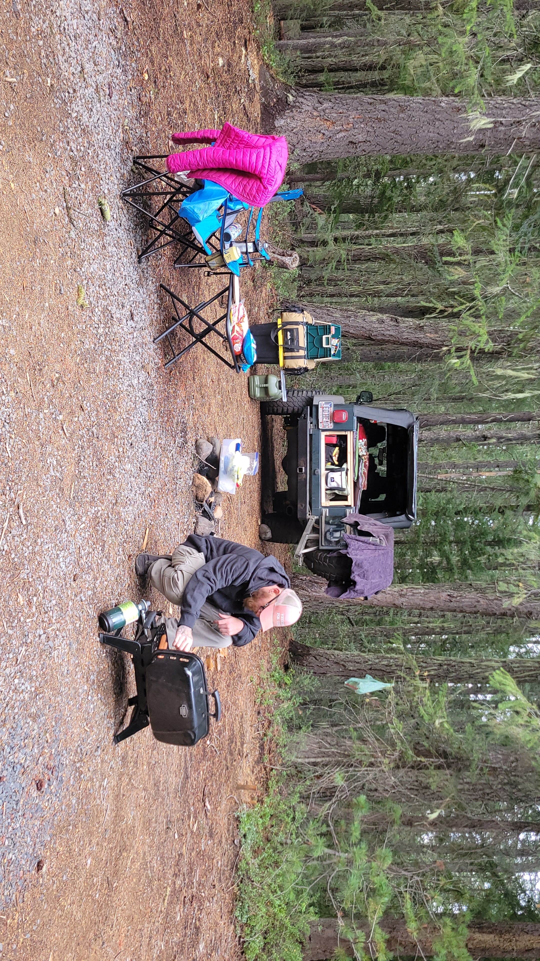 Camper-submitted photo at Millsite Forest Dispersed Camping near Idleyld Park, OR