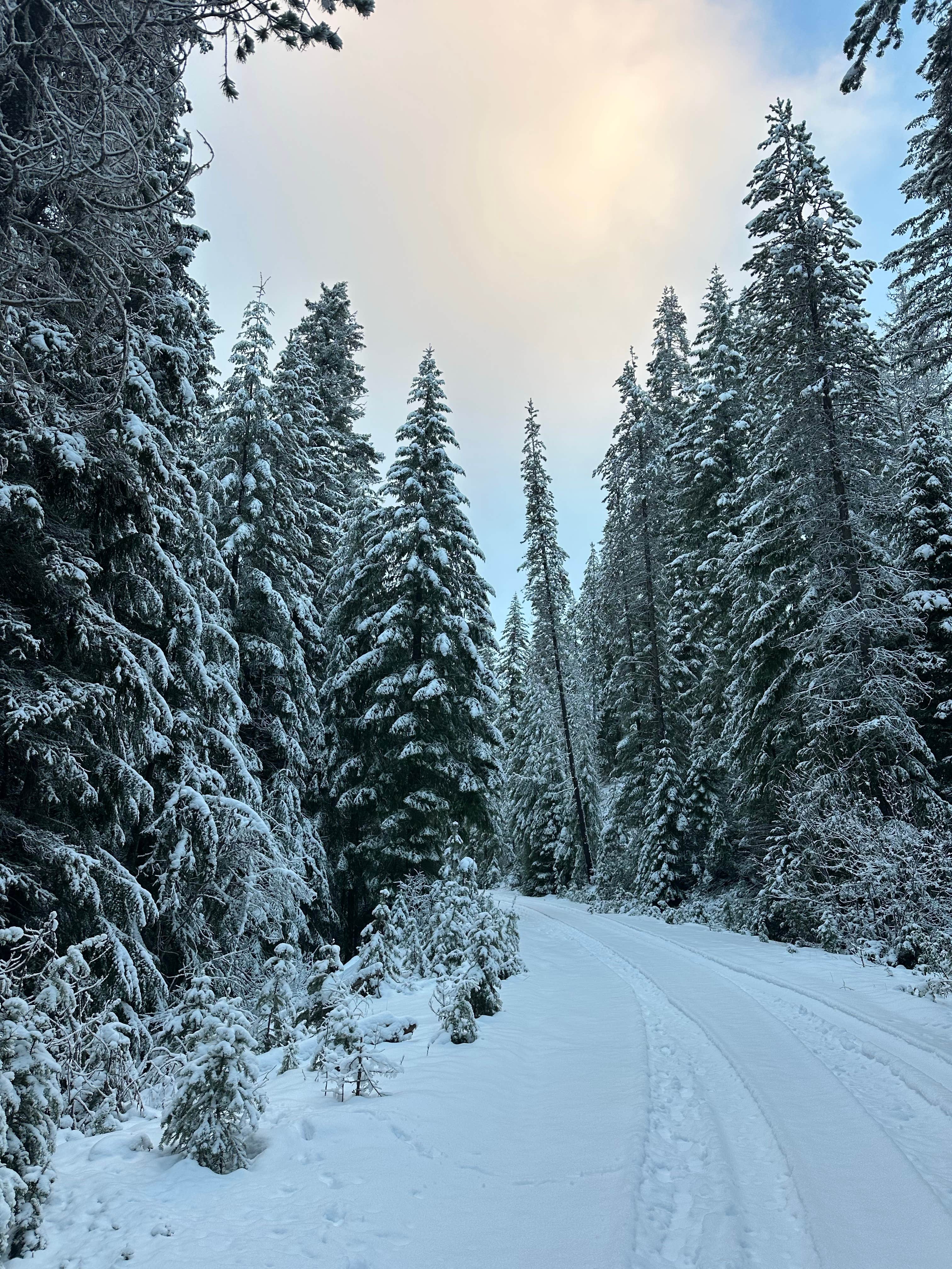 Camper submitted image from Millsite Forest Dispersed Camping - 1