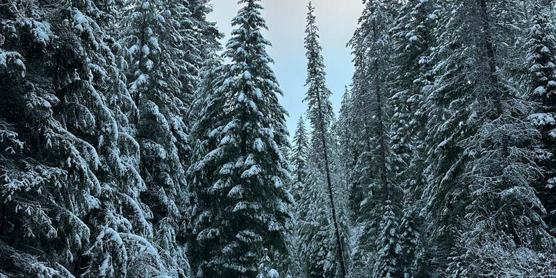 Camper submitted image from Millsite Forest Dispersed Camping