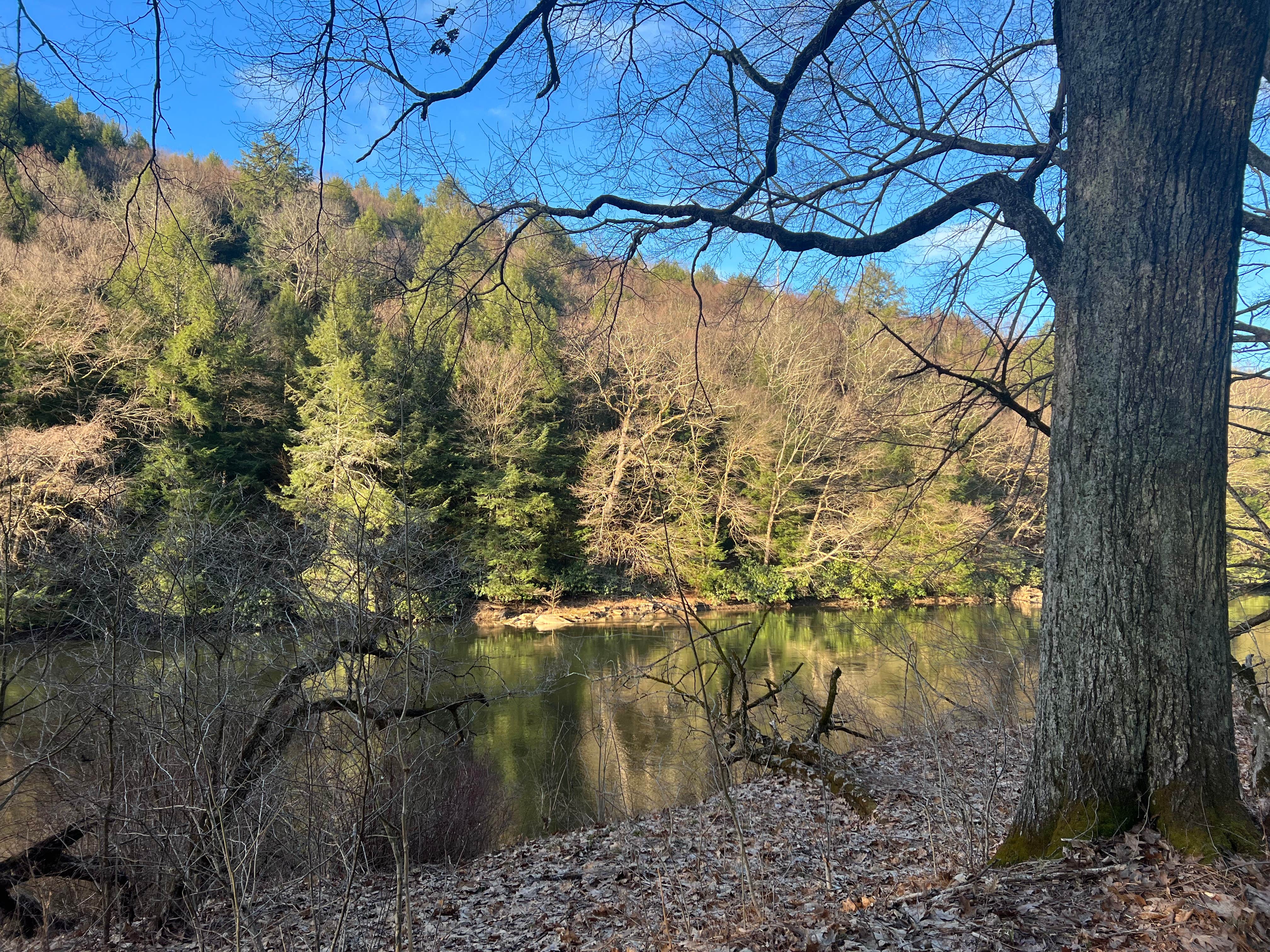 Camper-submitted photo at Millstone Creek Campground near Tionesta, PA