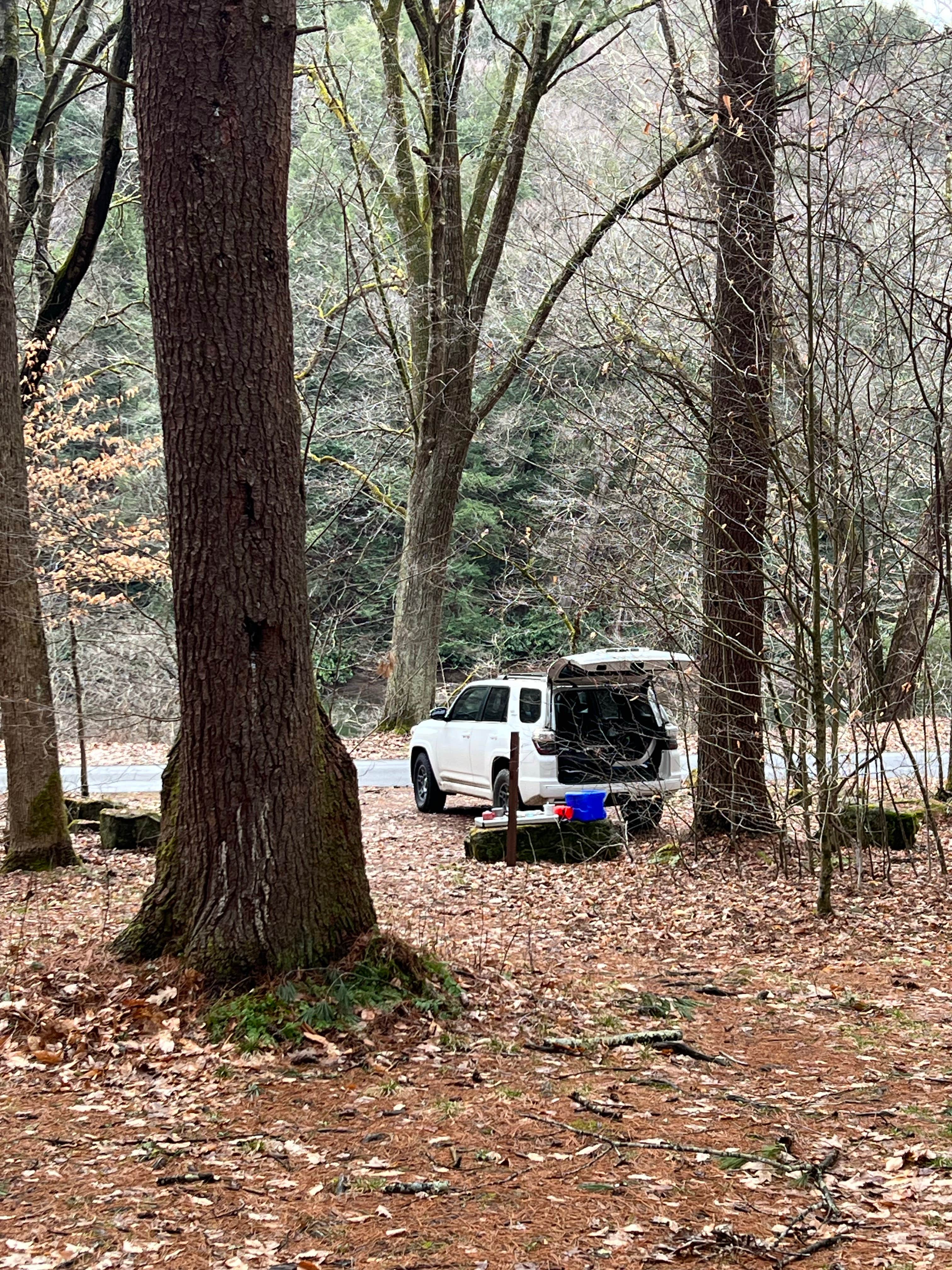 Camping near Kelly Pines Campground: Millstone Creek Campground, Clarington, Pennsylvania
