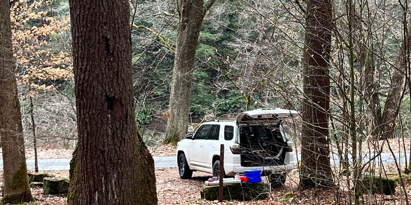 Camper submitted image from Millstone Creek Campground