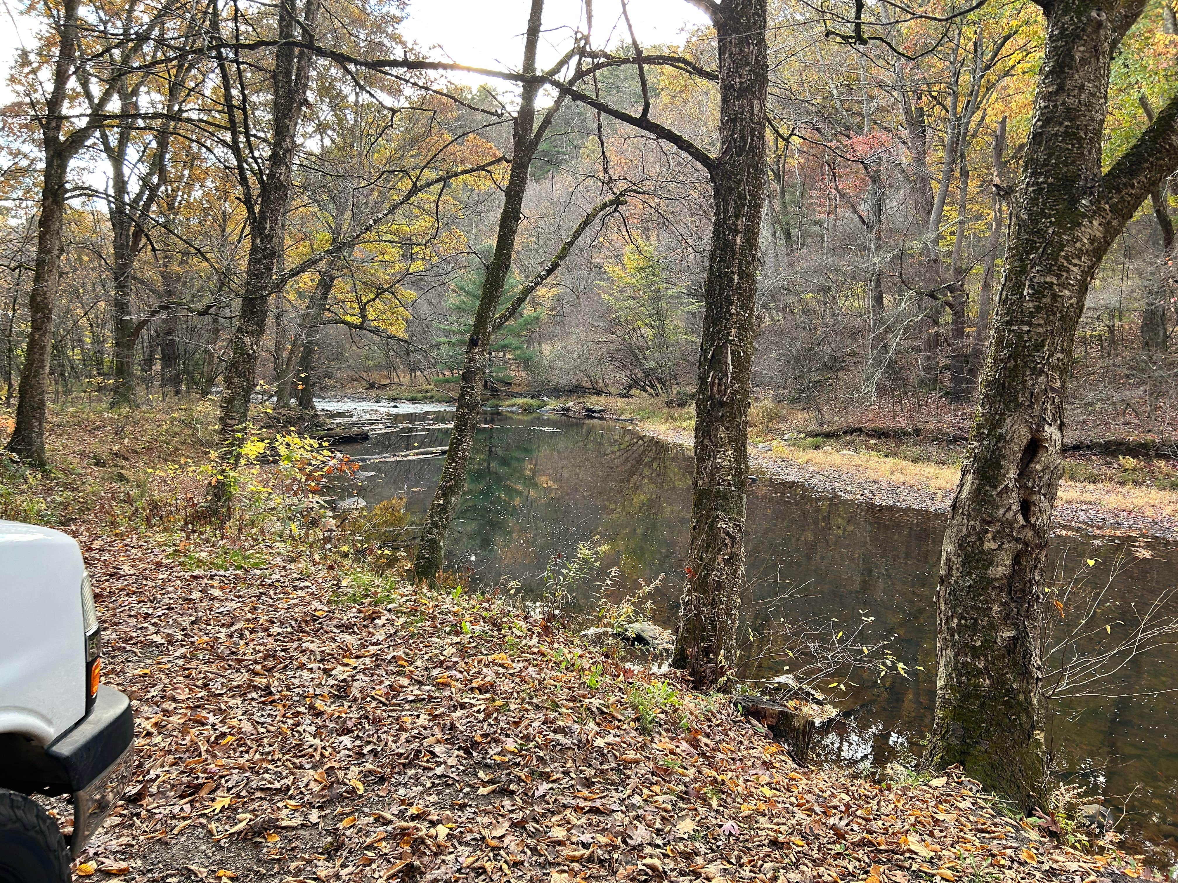 Camper-submitted photo at Millstone Creek Campground near Irvine, PA