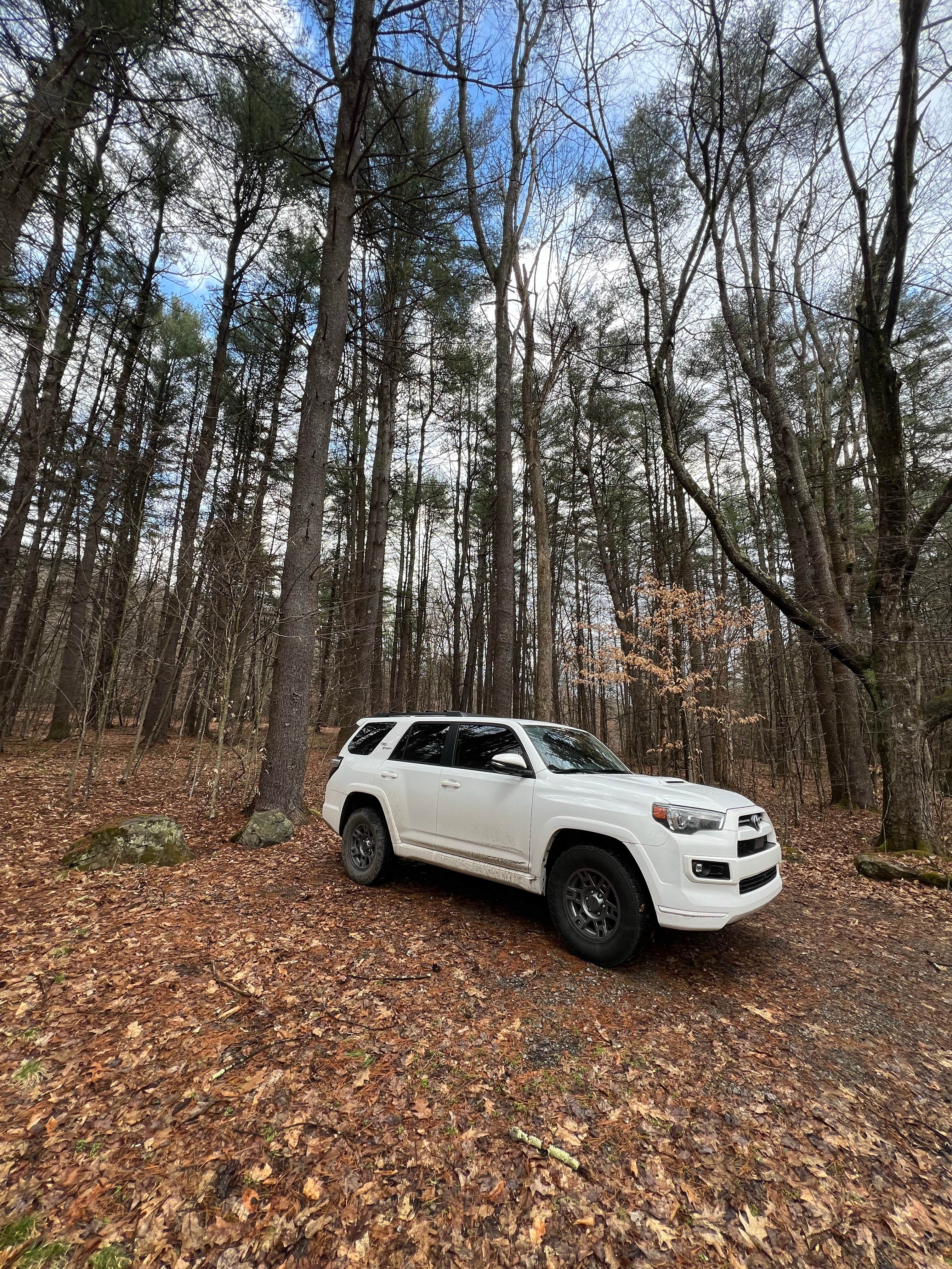 Camper-submitted photo at Millstone Creek Campground near Tionesta, PA