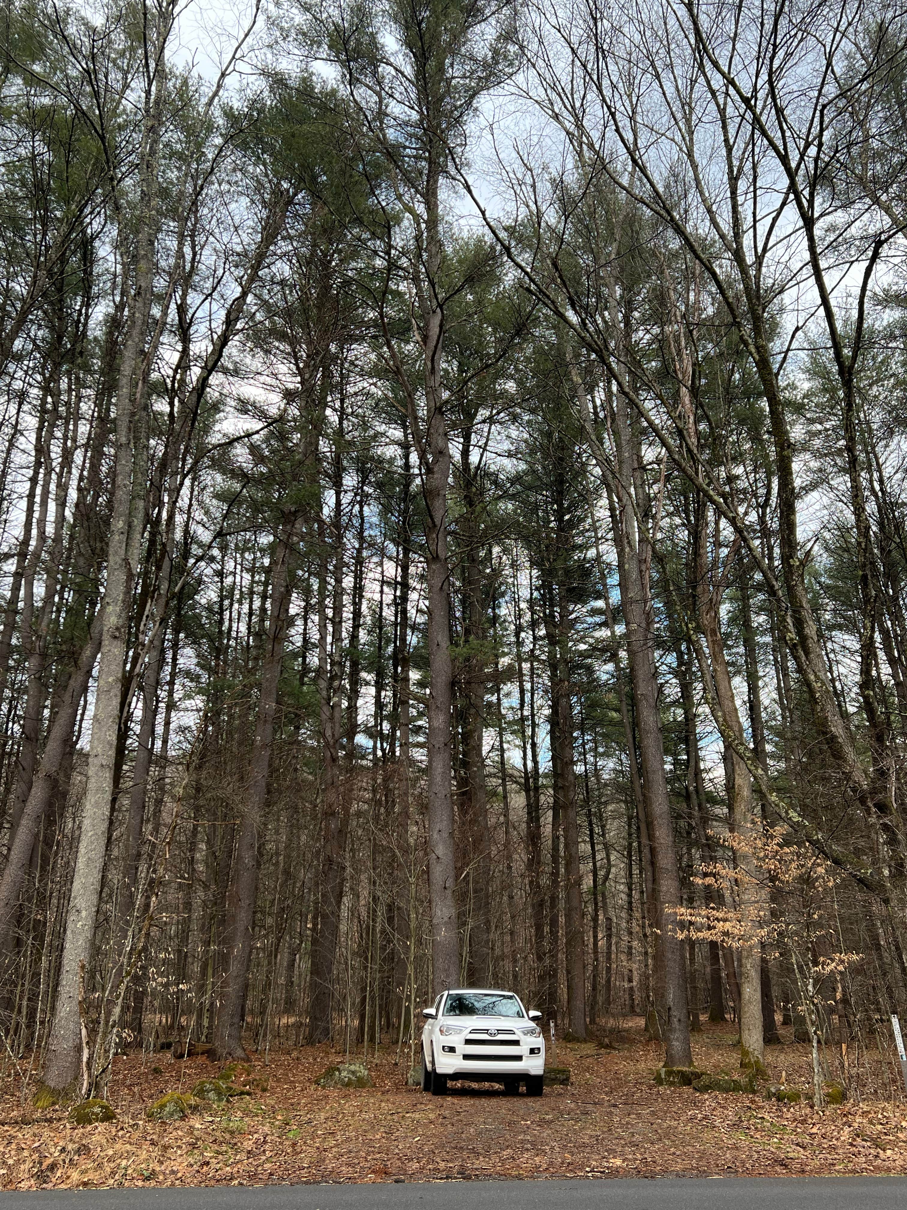 Camper-submitted photo at Millstone Creek Campground near Tionesta, PA