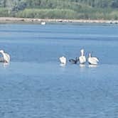 Review photo of Milner Historic Recreation Area by Jeff R., July 19, 2026