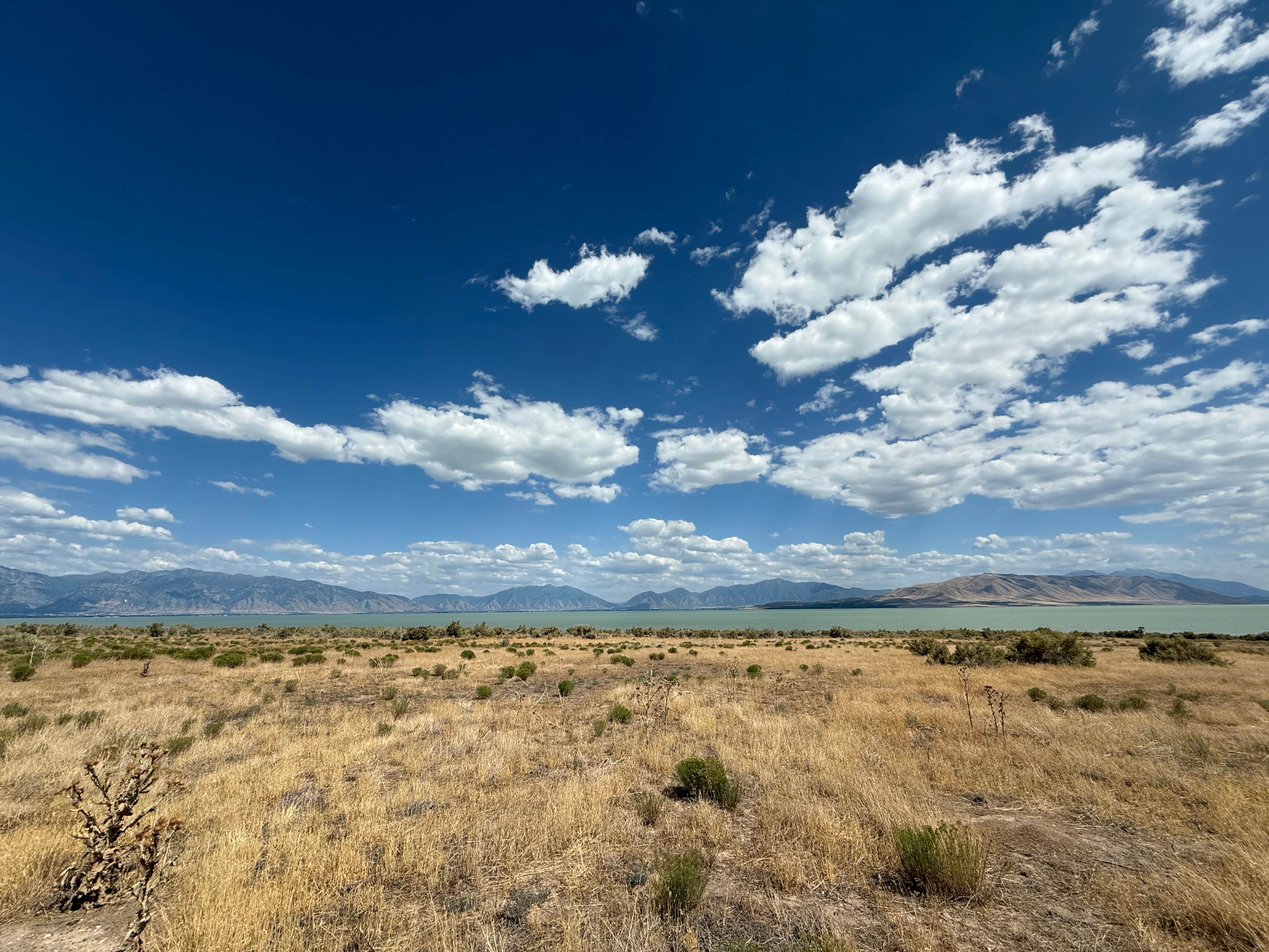 Camper-submitted photo at Miner's Canyon Dispersed near Eureka, UT