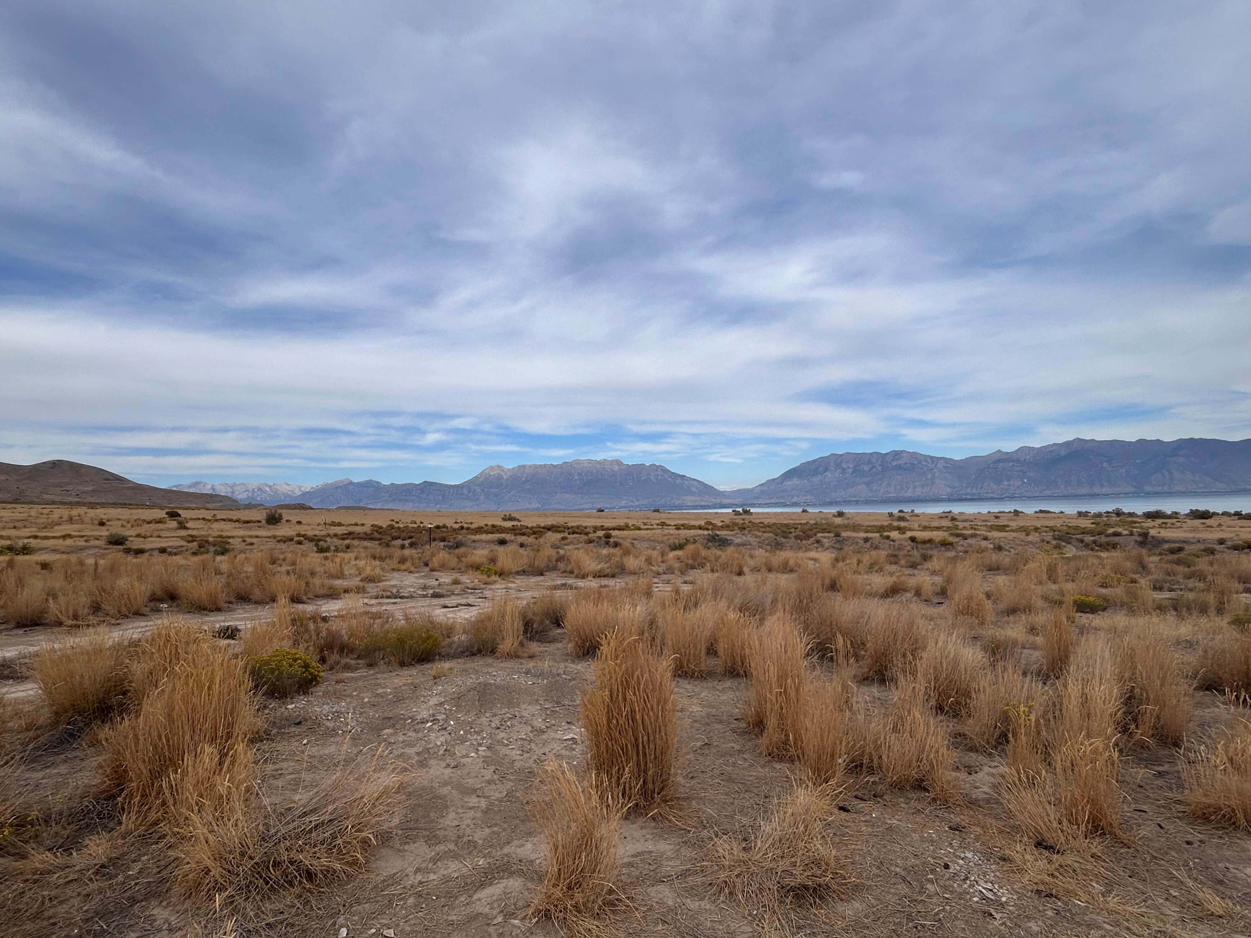 Camper-submitted photo at Miner's Canyon Dispersed near Eureka, UT