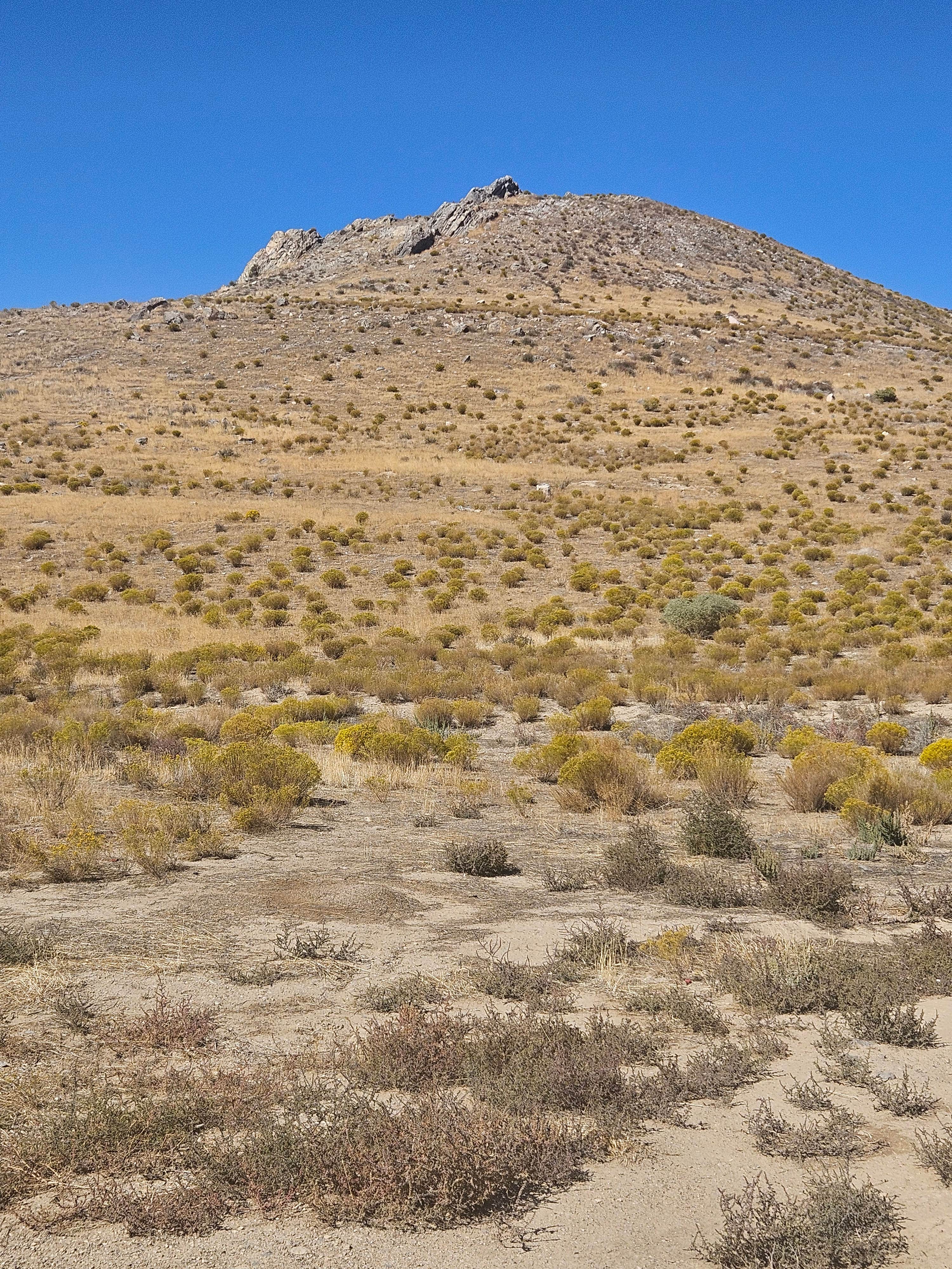 Camper-submitted photo at Miner's Canyon Dispersed near Eureka, UT