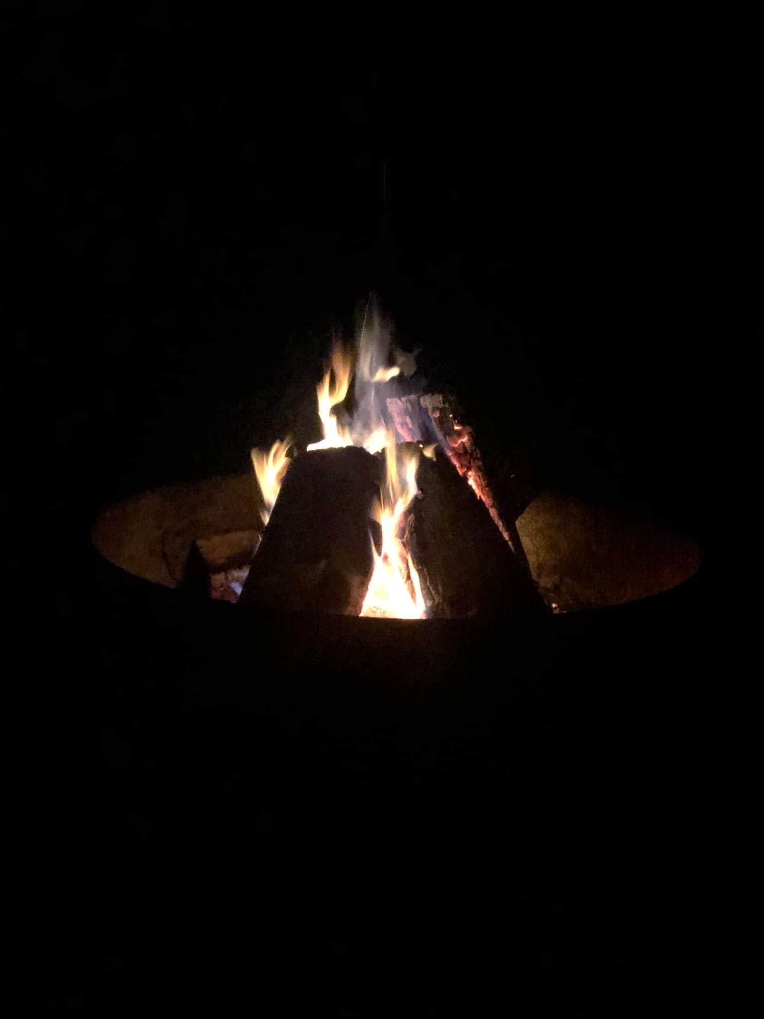 Camping near Wallman/Laurel Run - Potomac State Forest: Barnum Whitewater Area, Jennings Randolph Lake, West Virginia