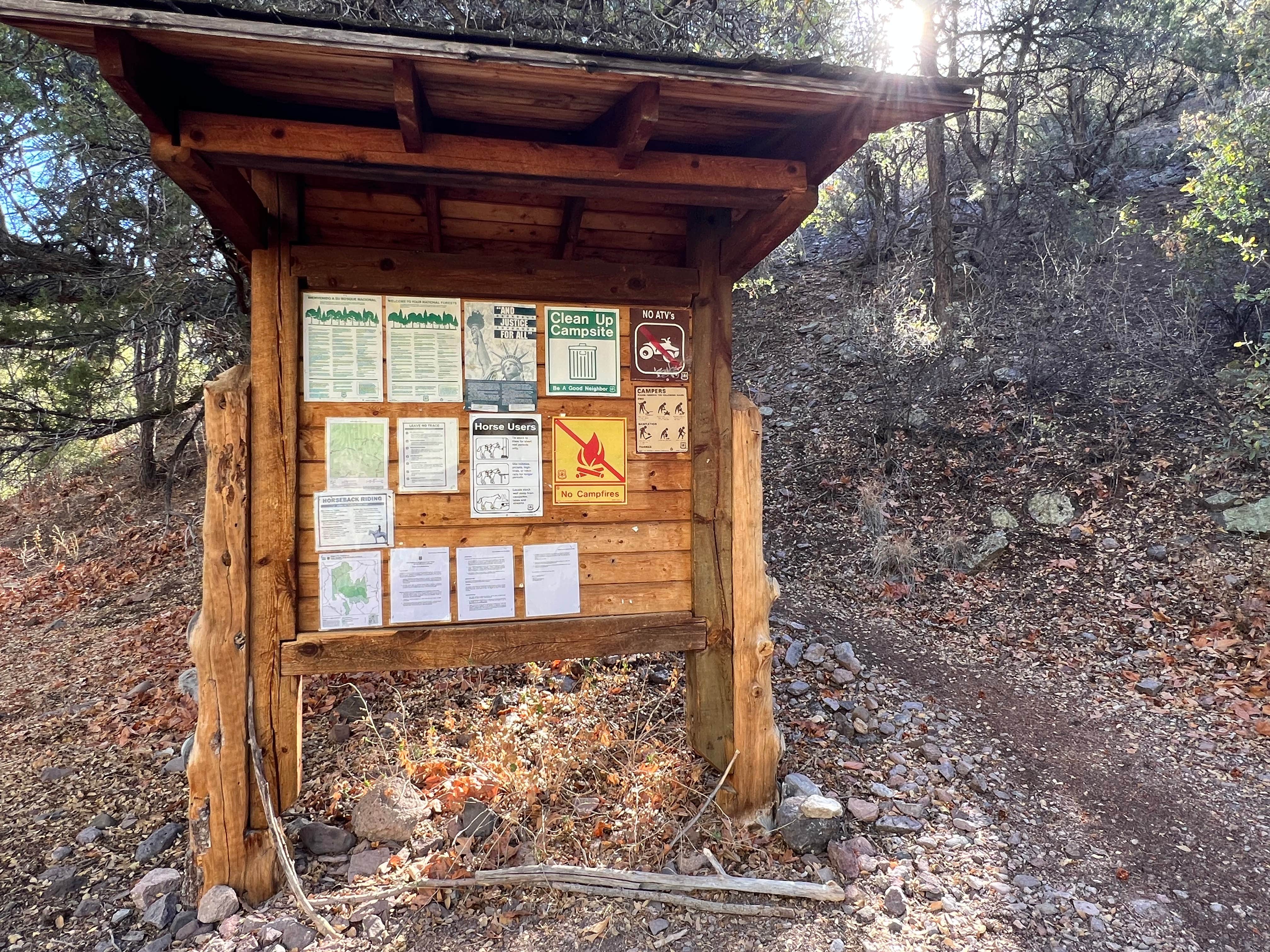 Camper submitted image from Mineral Creek Trailhead - 5