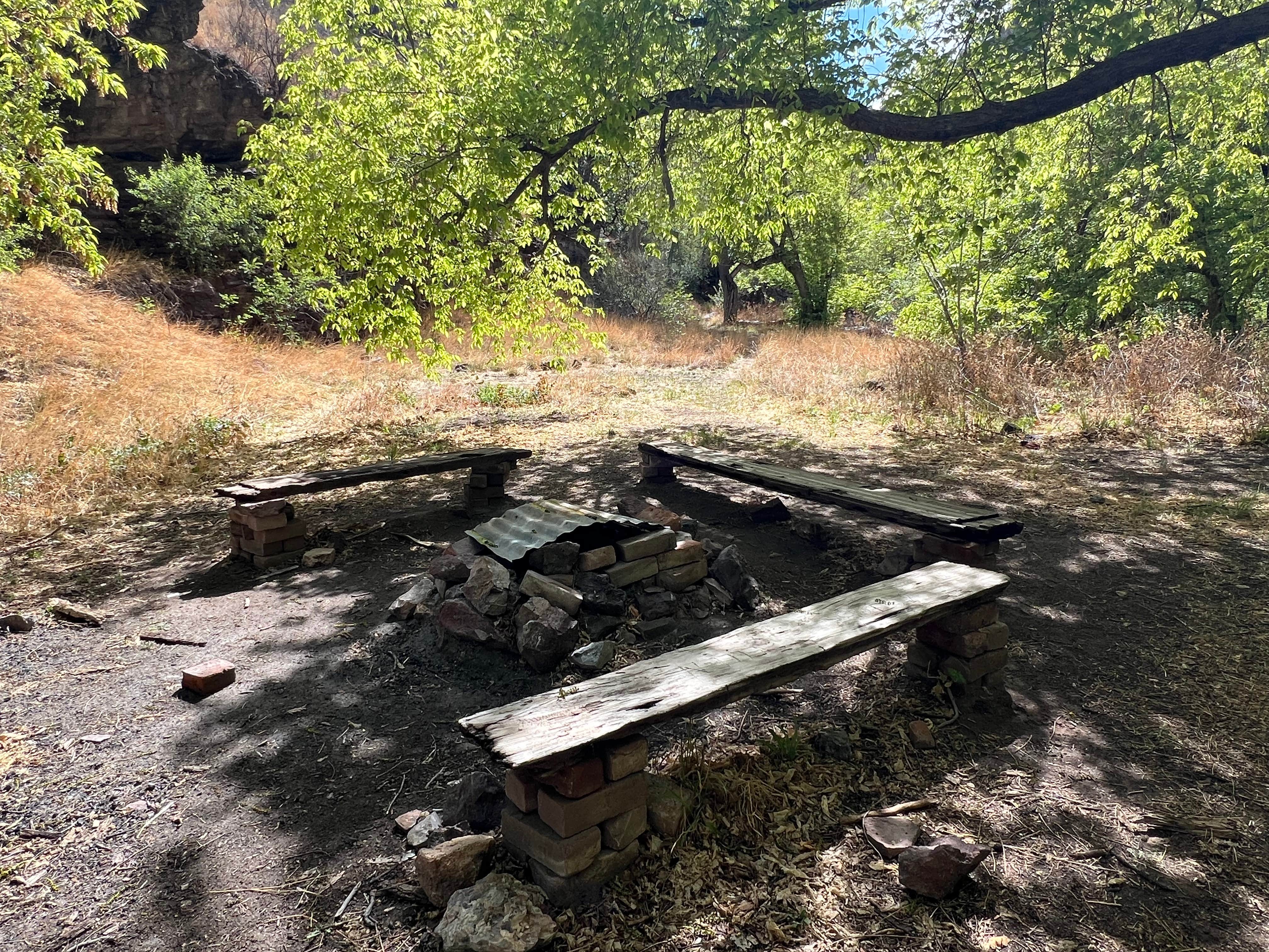 Camper submitted image from Mineral Creek Trailhead - 4