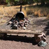Review photo of Mineral Creek Trailhead by Meghan B., May 7, 2025