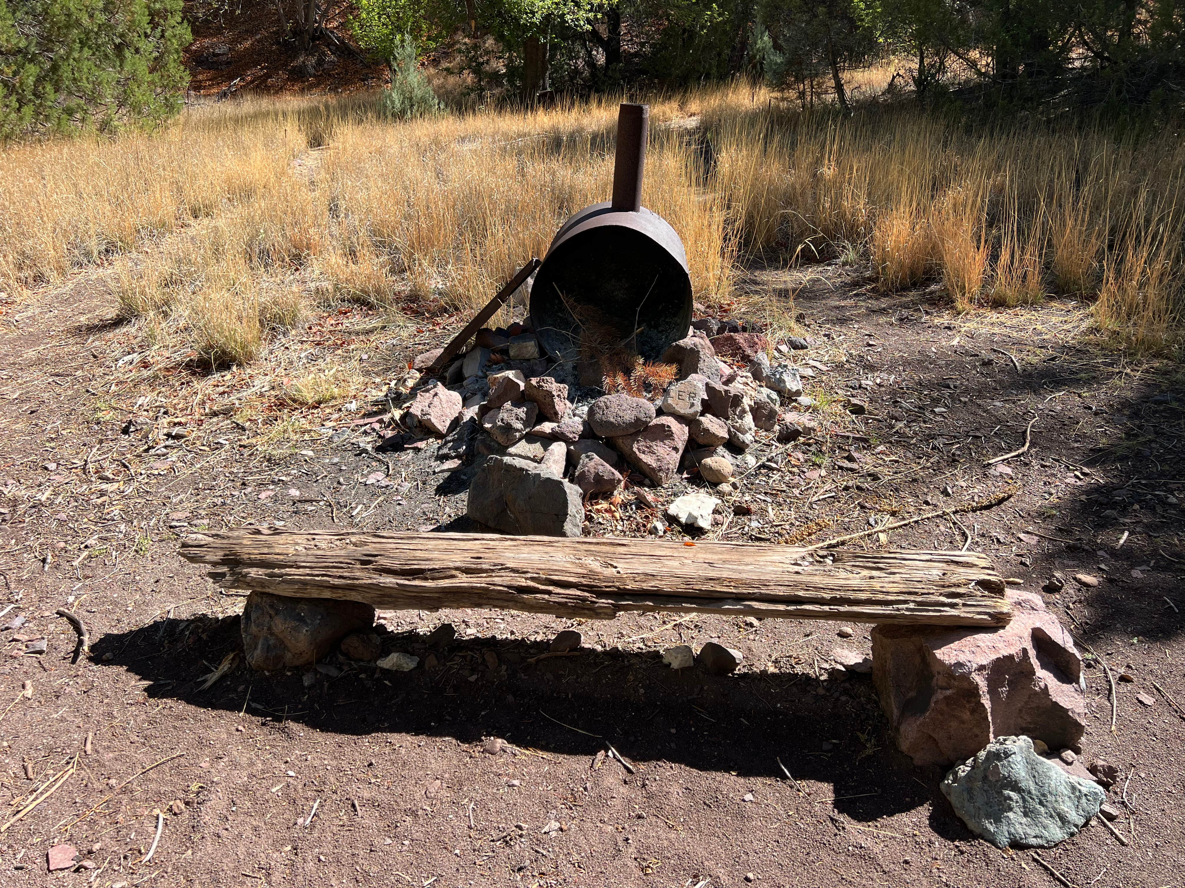 Camper submitted image from Mineral Creek Trailhead - 2