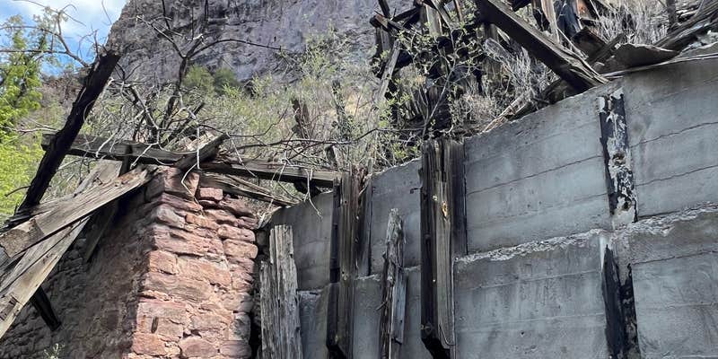 Camper submitted image from Mineral Creek Trailhead