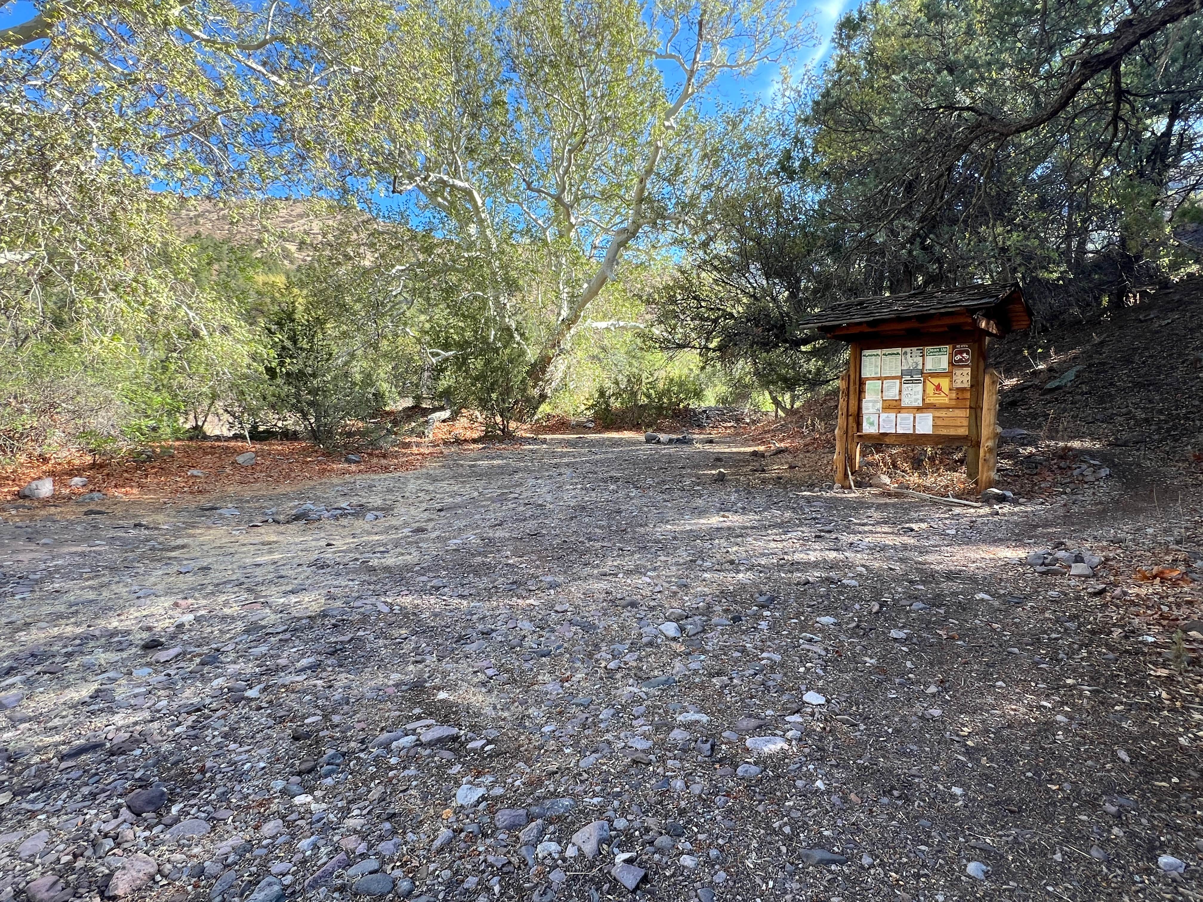 Camper submitted image from Mineral Creek Trailhead - 4