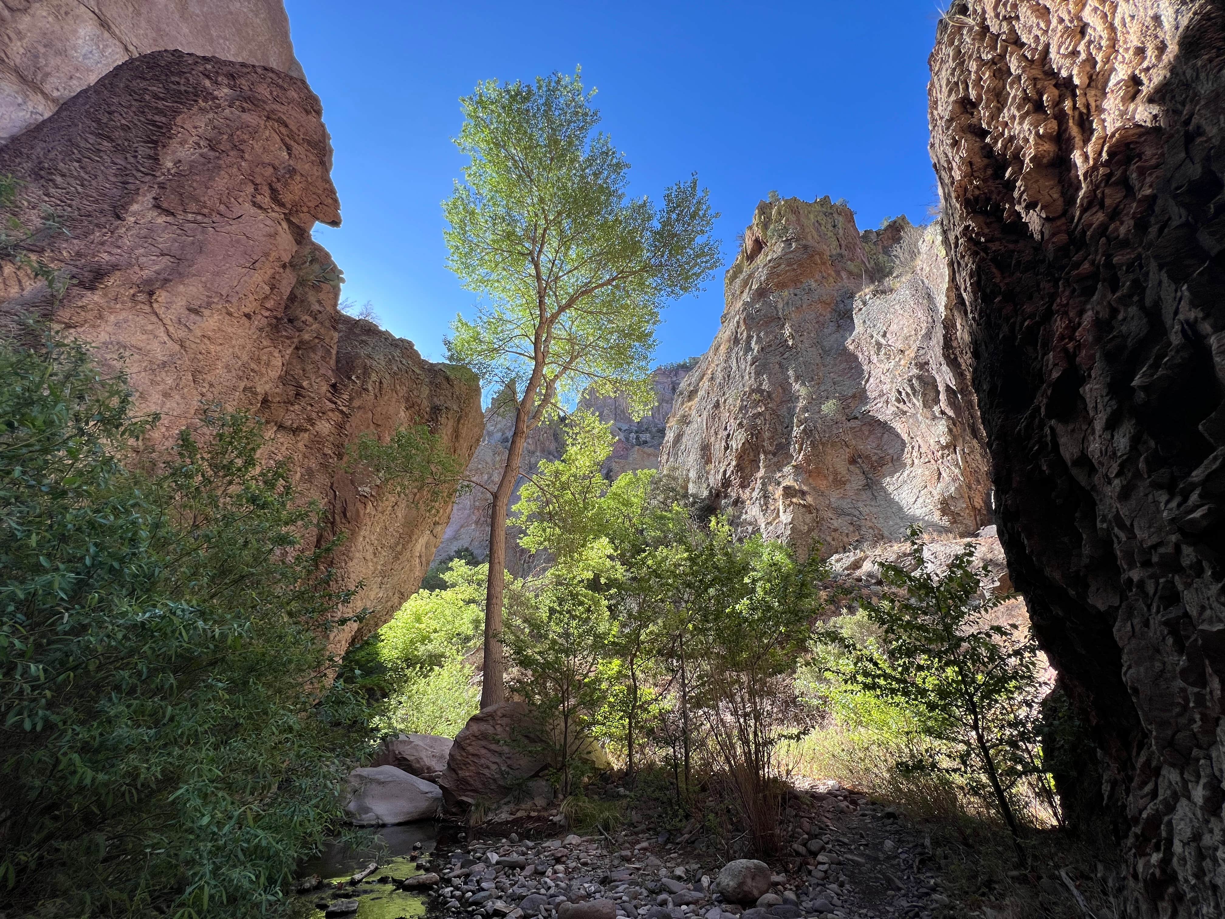 Camper submitted image from Mineral Creek Trailhead - 3