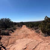 Review photo of BLM Mineral Bottom Road Dispersed Camping by Lola K., March 22, 2026