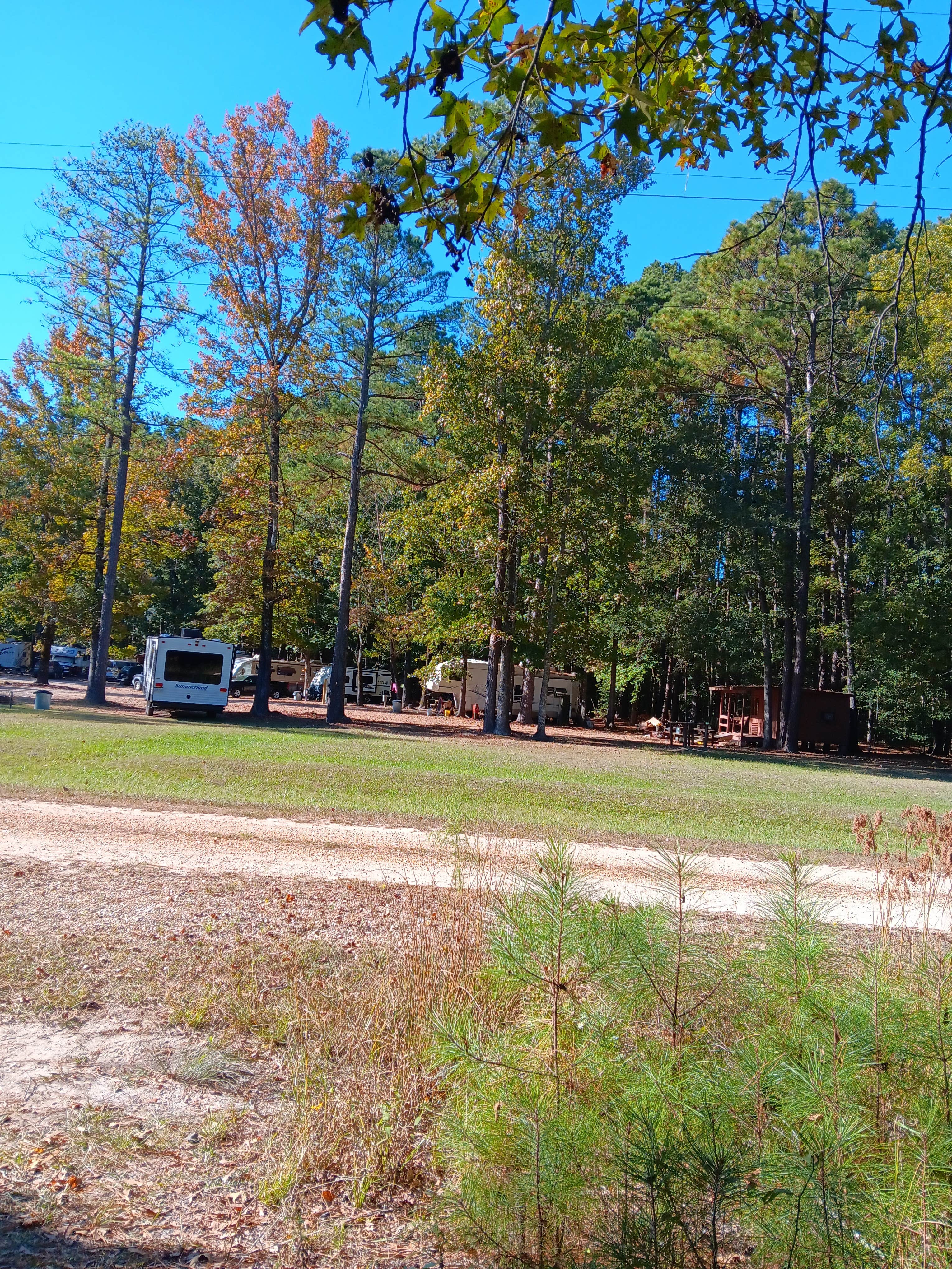 Camper-submitted photo at Miners Camping & Rock Shop near Murfreesboro, AR