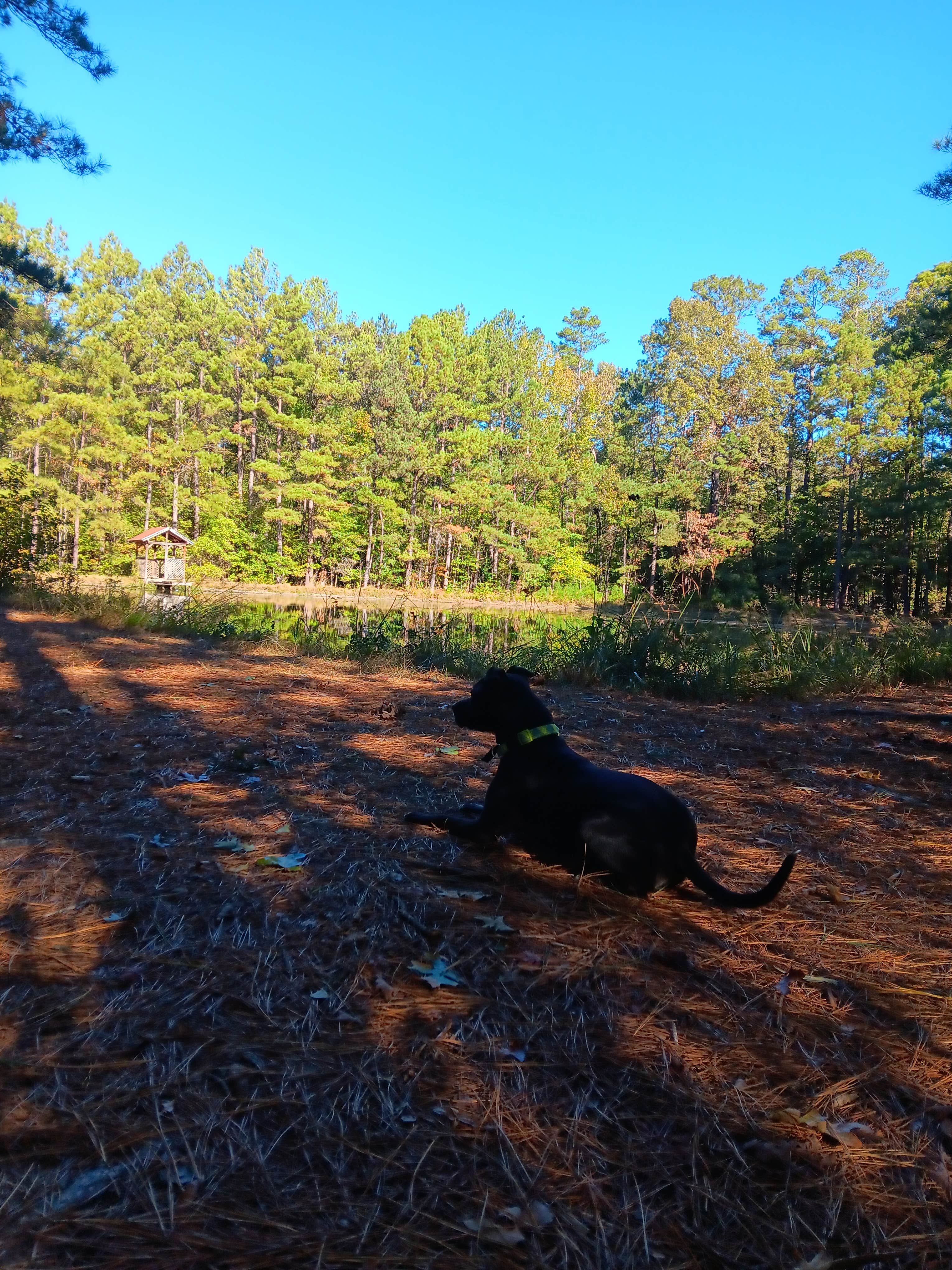 Camper-submitted photo at Miners Camping & Rock Shop near Murfreesboro, AR