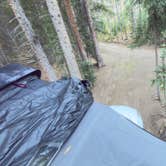 Review photo of Miners Creek Rd Designated Dispersed Camping by Vinny D., October 1, 2025