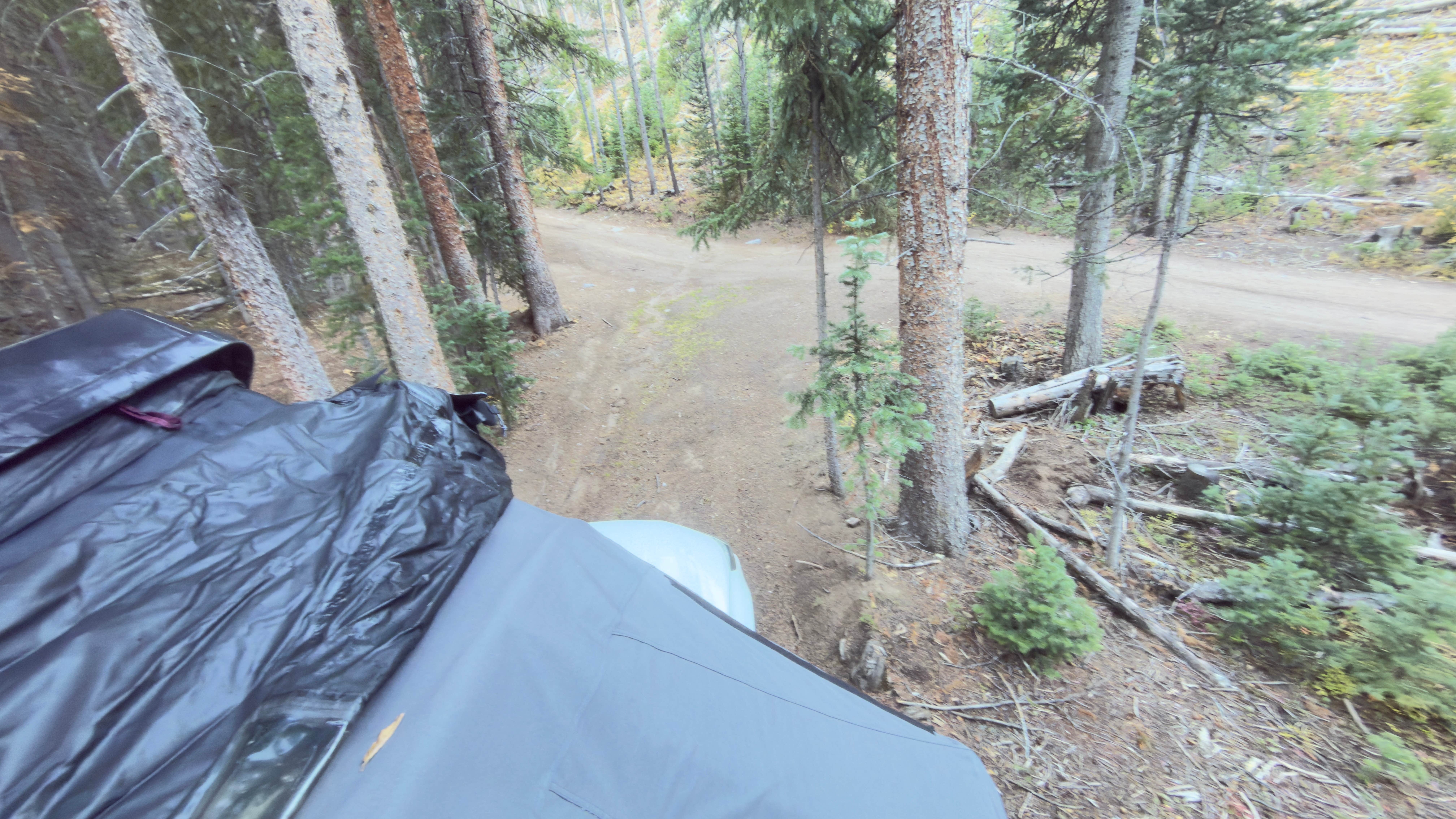 Camper submitted image from Miners Creek Rd Designated Dispersed Camping - 1