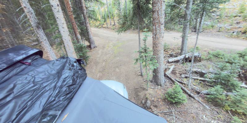 Camper submitted image from Miners Creek Rd Designated Dispersed Camping