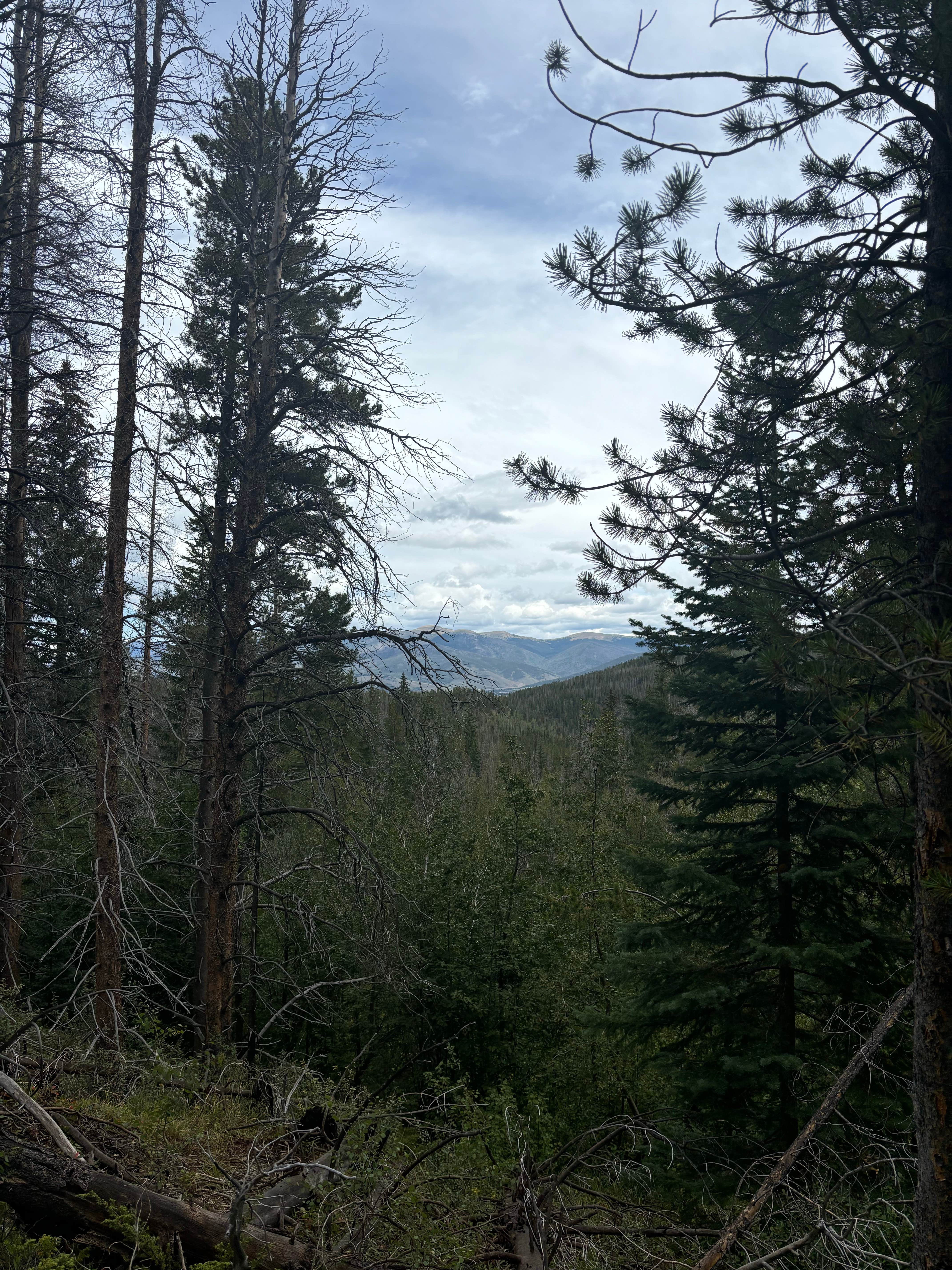 Camper-submitted photo at Miners Creek Rd Designated Dispersed Camping near Copper Mountain, CO
