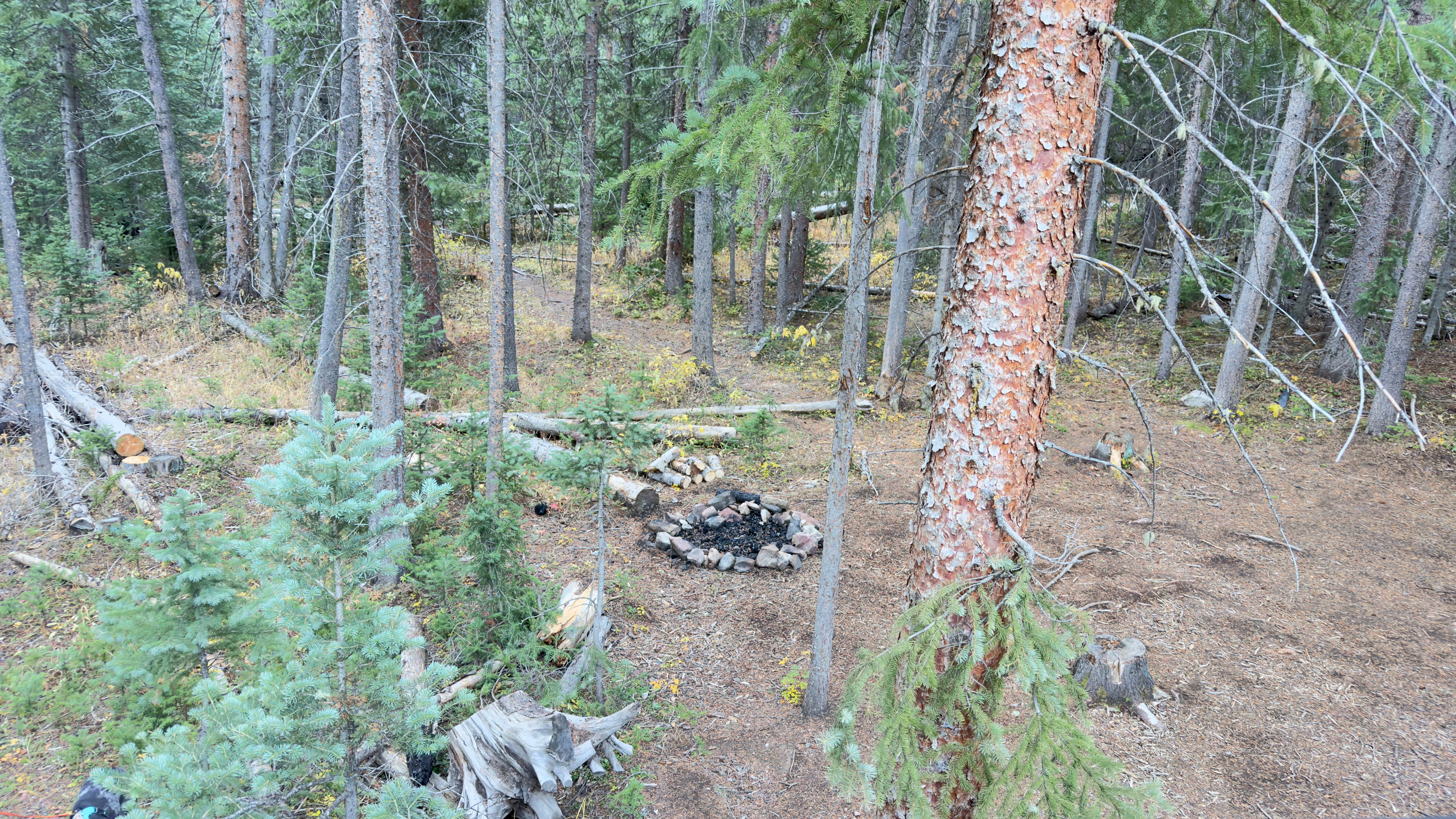 Camper-submitted photo at Miners Creek Rd Designated Dispersed Camping near Copper Mountain, CO